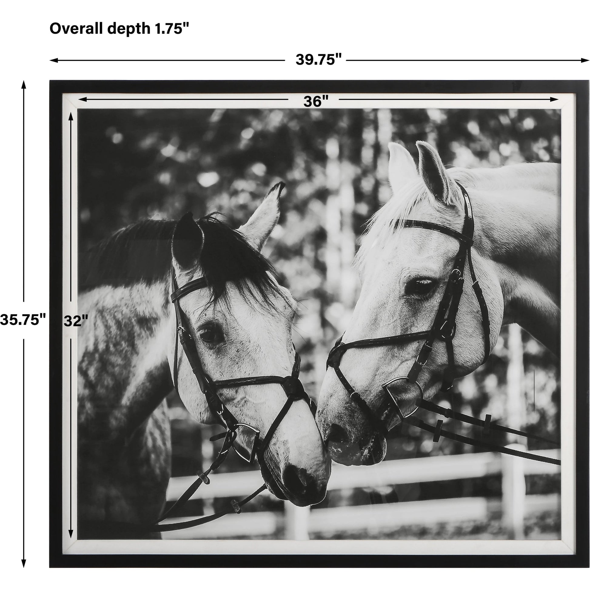 Apple of My Eye Framed Print by Uttermost in black, white. Made from pinewood, glass, mdf, paper, linen in a modern style.