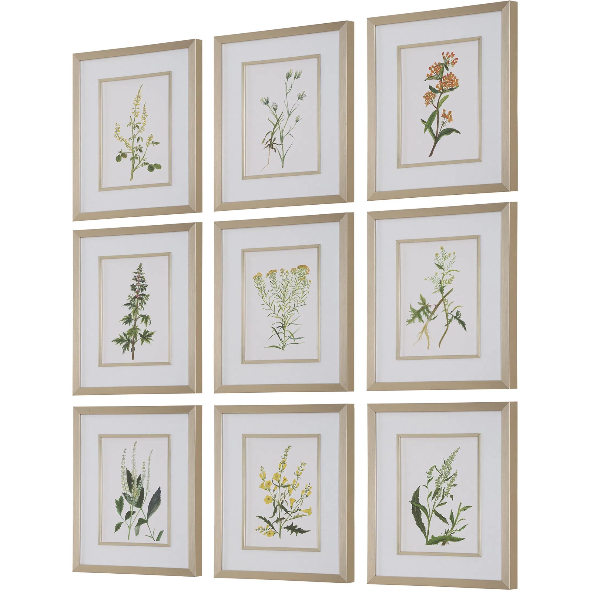 Botanical Flowers Framed Prints by Uttermost. Made from plastic, glass, mdf, paper in a transitional style.