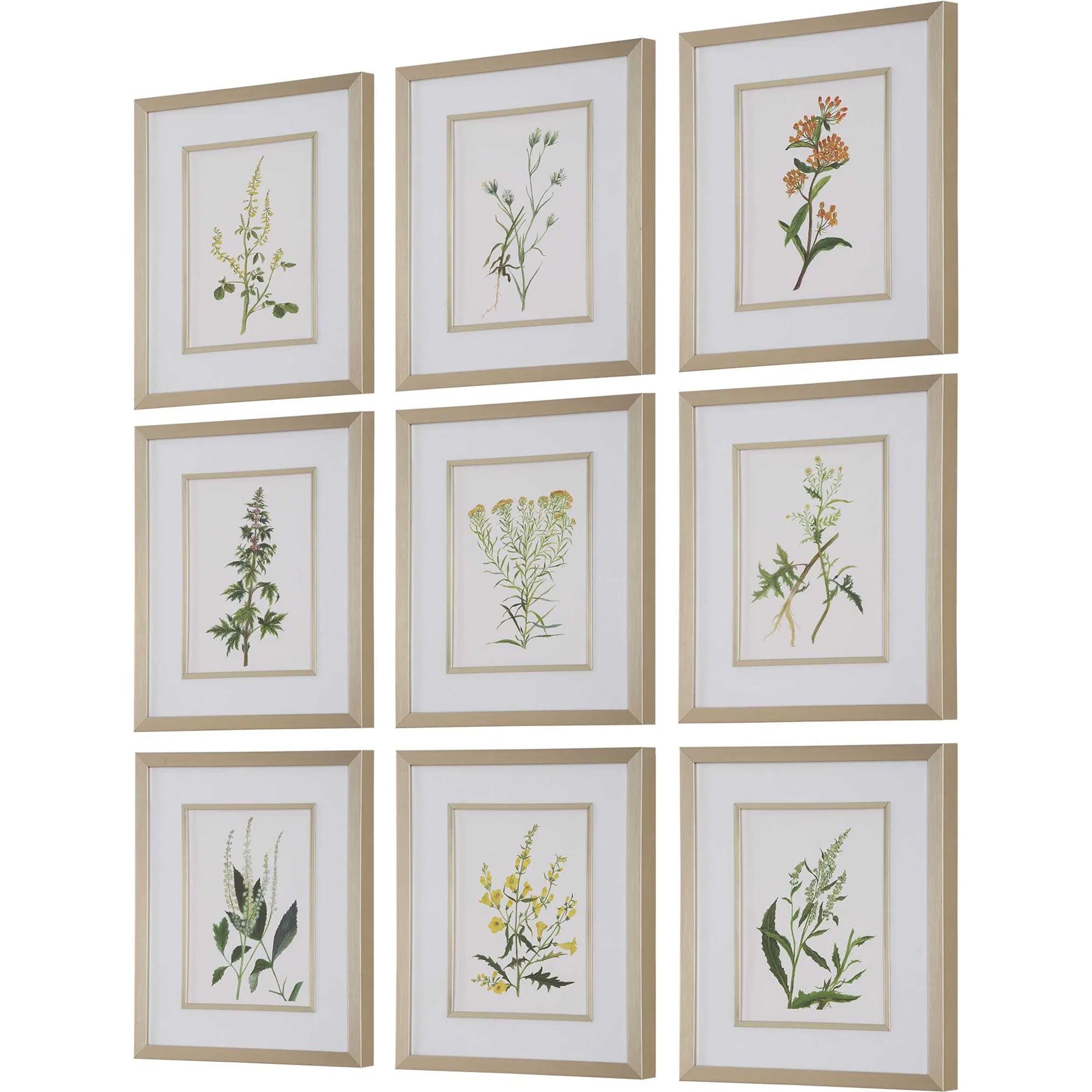 Botanical Flowers Framed Prints by Uttermost. Made from plastic, glass, mdf, paper in a transitional style.
