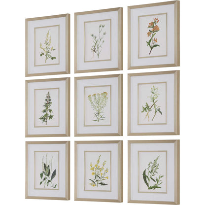 Botanical Flowers Framed Prints by Uttermost. Made from plastic, glass, mdf, paper in a transitional style.