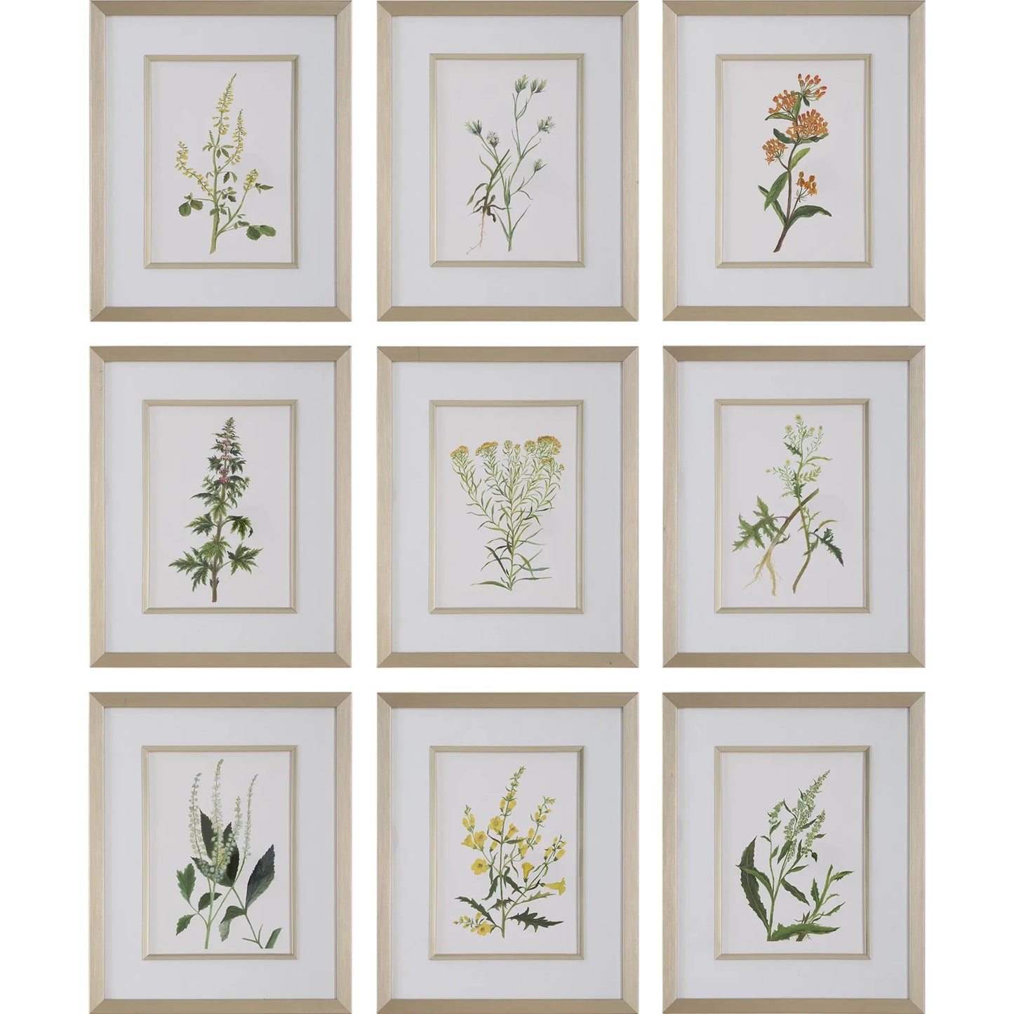 001 SI-2262469 | Primary Silo | Botanical Flowers Framed Prints by Uttermost. Made from plastic, glass, mdf, paper in a transitional style.