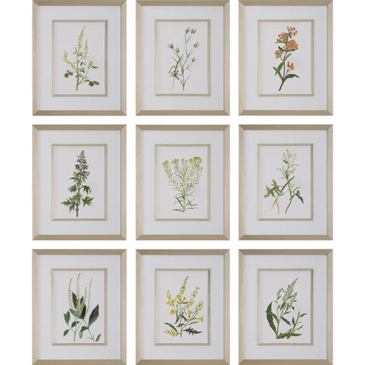 Botanical Flowers Framed Prints by Uttermost. Made from plastic, glass, mdf, paper in a unique style.