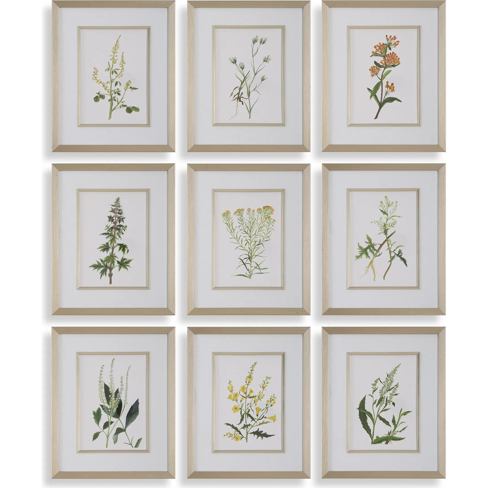 Botanical Flowers Framed Prints by Uttermost. Made from plastic, glass, mdf, paper in a transitional style.
