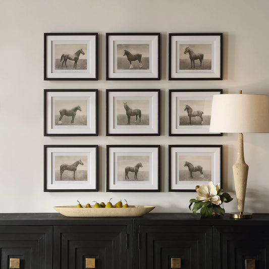 Equine Dynasty Framed Prints by Uttermost. Made from plastic, glass, mdf, paper in a unique style.