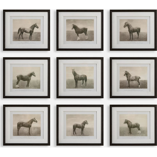 Equine Dynasty Framed Prints by Uttermost. Made from plastic, glass, mdf, paper in a unique style.