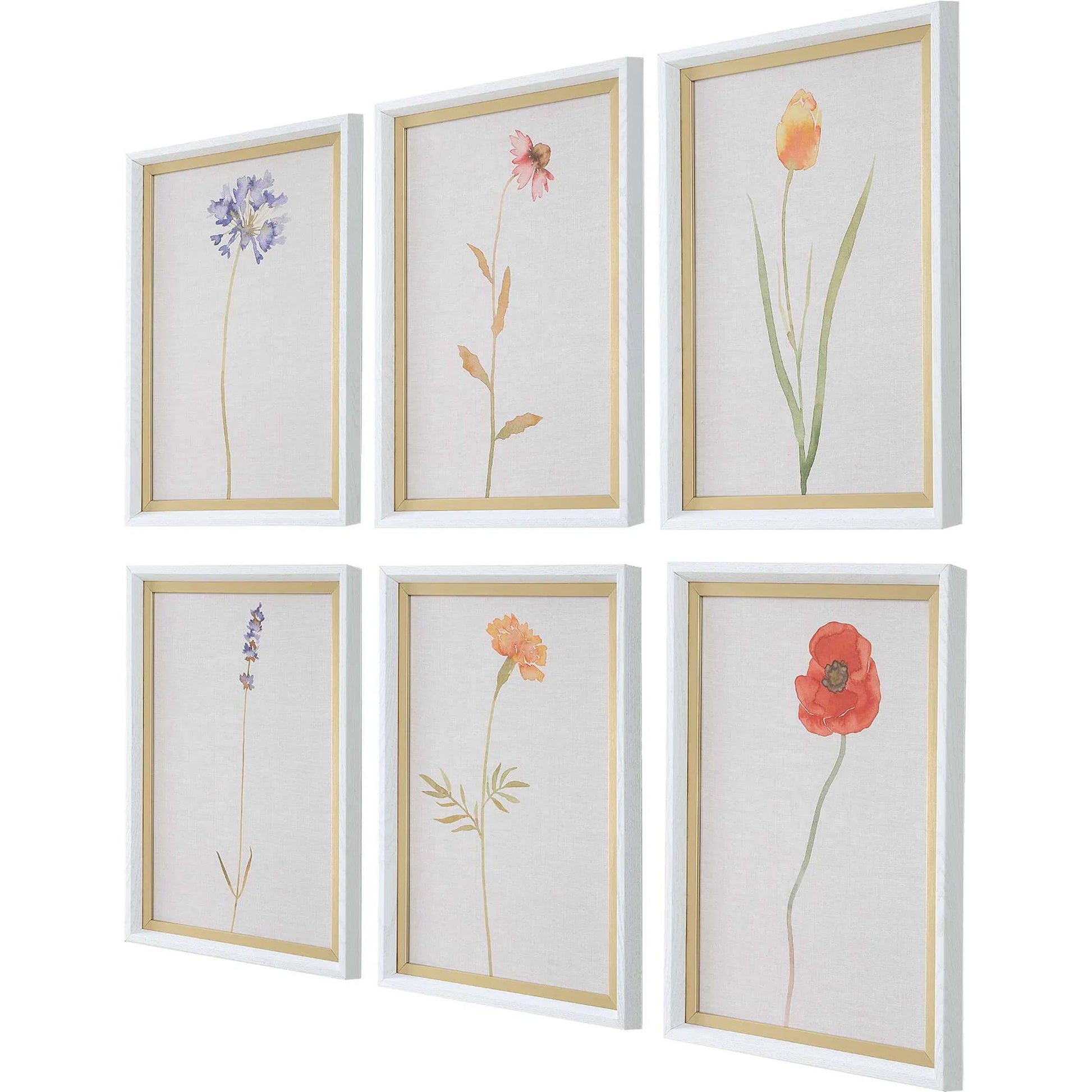 Wild Flourish Framed Floral Prints by Uttermost. Made from plastic, glass, mdf, paper in a transitional style.