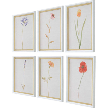 Wild Flourish Framed Floral Prints by Uttermost. Made from plastic, glass, mdf, paper in a transitional style.