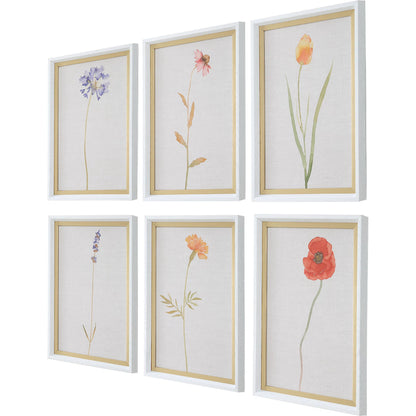 Wild Flourish Framed Floral Prints by Uttermost. Made from plastic, glass, mdf, paper in a transitional style.