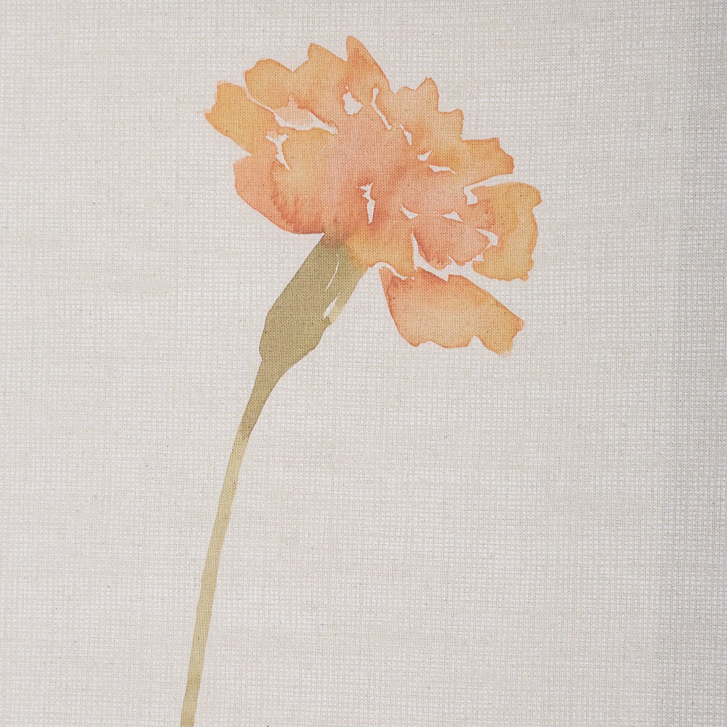 003 SI-2295326 | Closeup | Wild Flourish Framed Floral Prints by Uttermost. Made from plastic, glass, mdf, paper in a transitional style.