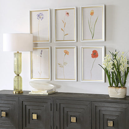 Wild Flourish Framed Floral Prints by Uttermost. Made from plastic, glass, mdf, paper in a transitional style.