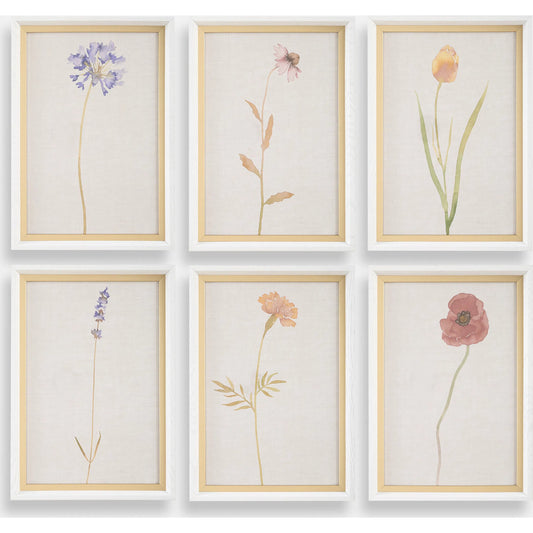 Wild Flourish Framed Floral Prints by Uttermost. Made from plastic, glass, mdf, paper in a unique style.