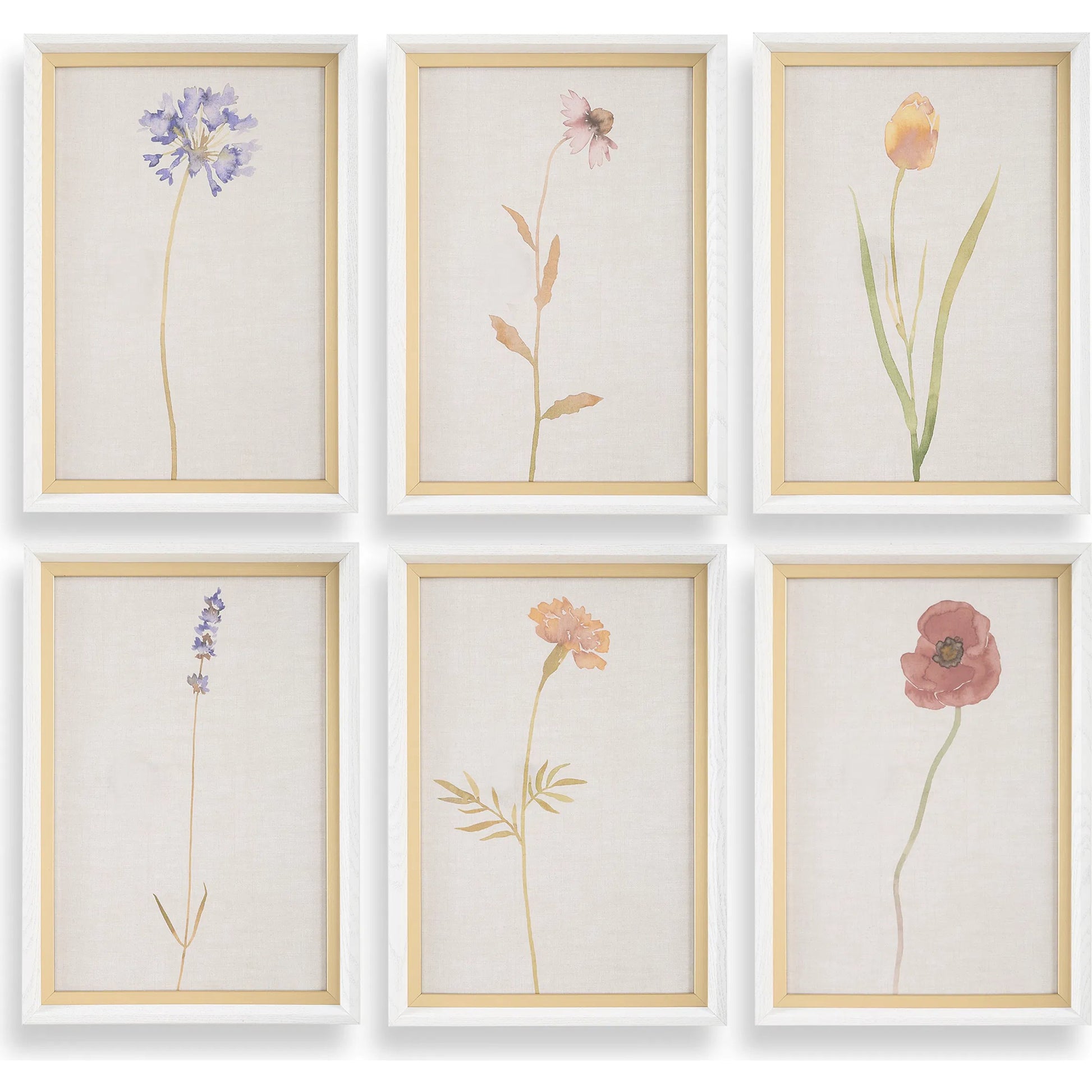 Wild Flourish Framed Floral Prints by Uttermost. Made from plastic, glass, mdf, paper in a transitional style.