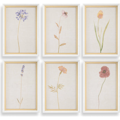 Wild Flourish Framed Floral Prints by Uttermost. Made from plastic, glass, mdf, paper in a transitional style.