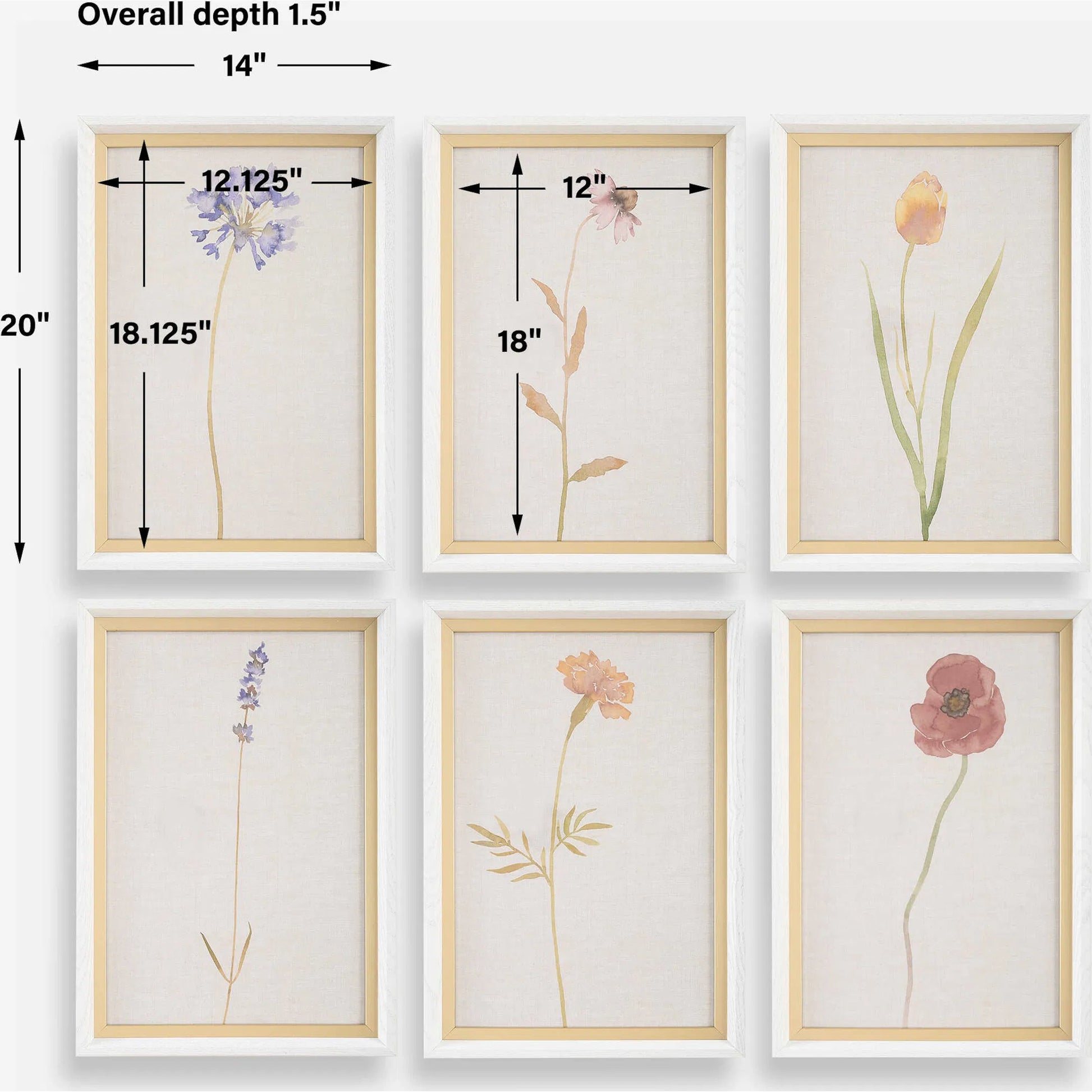 Wild Flourish Framed Floral Prints by Uttermost. Made from plastic, glass, mdf, paper in a transitional style.