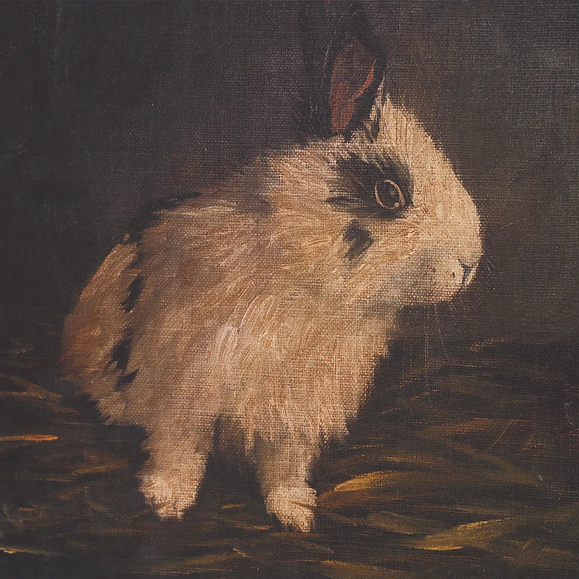Resting Bunny Framed Prints by Uttermost. Made from plastic, mdf, linen, paper in a cottage & farmhouse style.