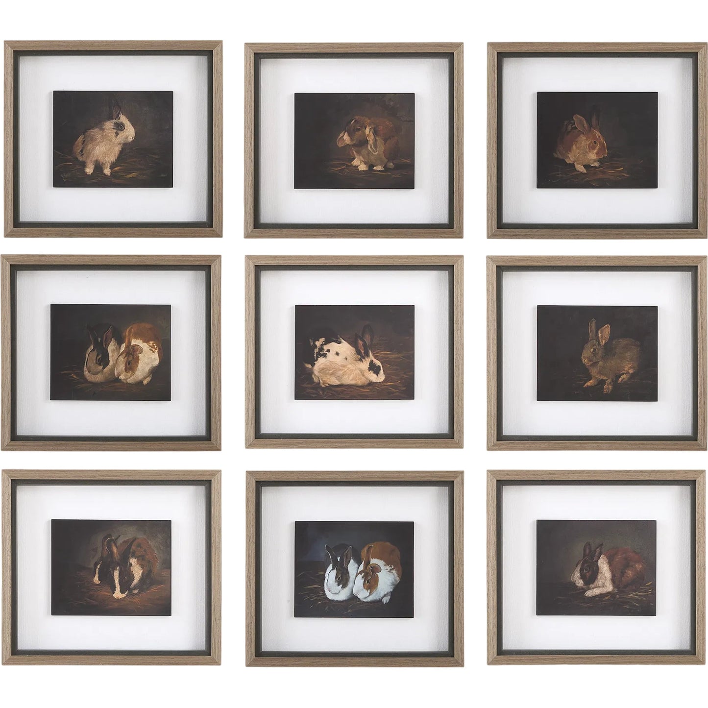 000 SI-2295328 | Primary Silo | Resting Bunny Framed Prints by Uttermost. Made from plastic, mdf, linen, paper in a cottage & farmhouse style.