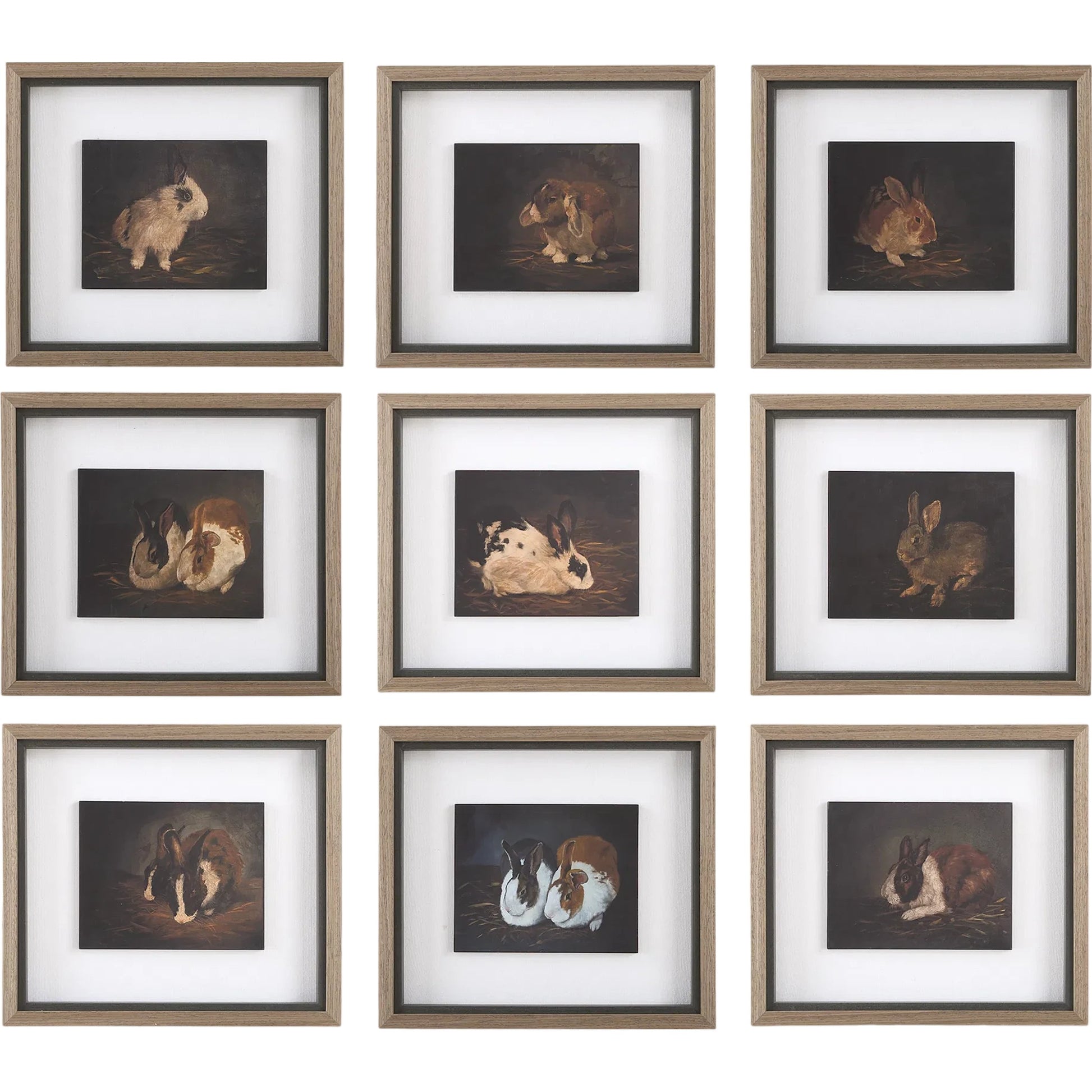 Resting Bunny Framed Prints by Uttermost. Made from plastic, mdf, linen, paper in a cottage & farmhouse style.