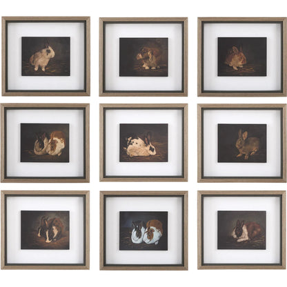 Resting Bunny Framed Prints by Uttermost. Made from plastic, mdf, linen, paper in a cottage & farmhouse style.