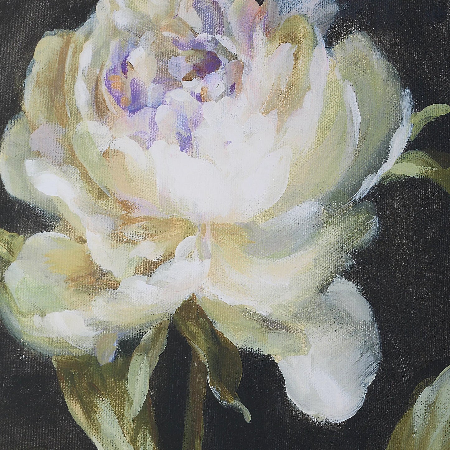 002 SI-2355250 | Closeup | Florals on Black Framed Prints by Uttermost. Made from plastic, glass, mdf, paper, linen in a traditional style.