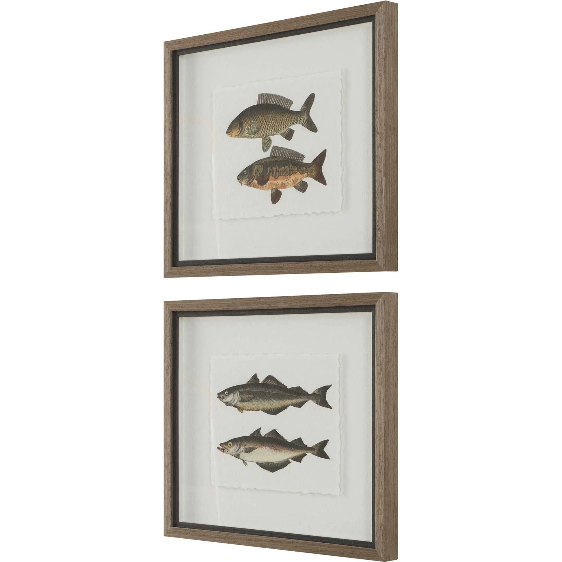 The Catch Framed Fish Prints by Uttermost in rustic gray. Made from plastic, glass, mdf, paper in a coastal style.