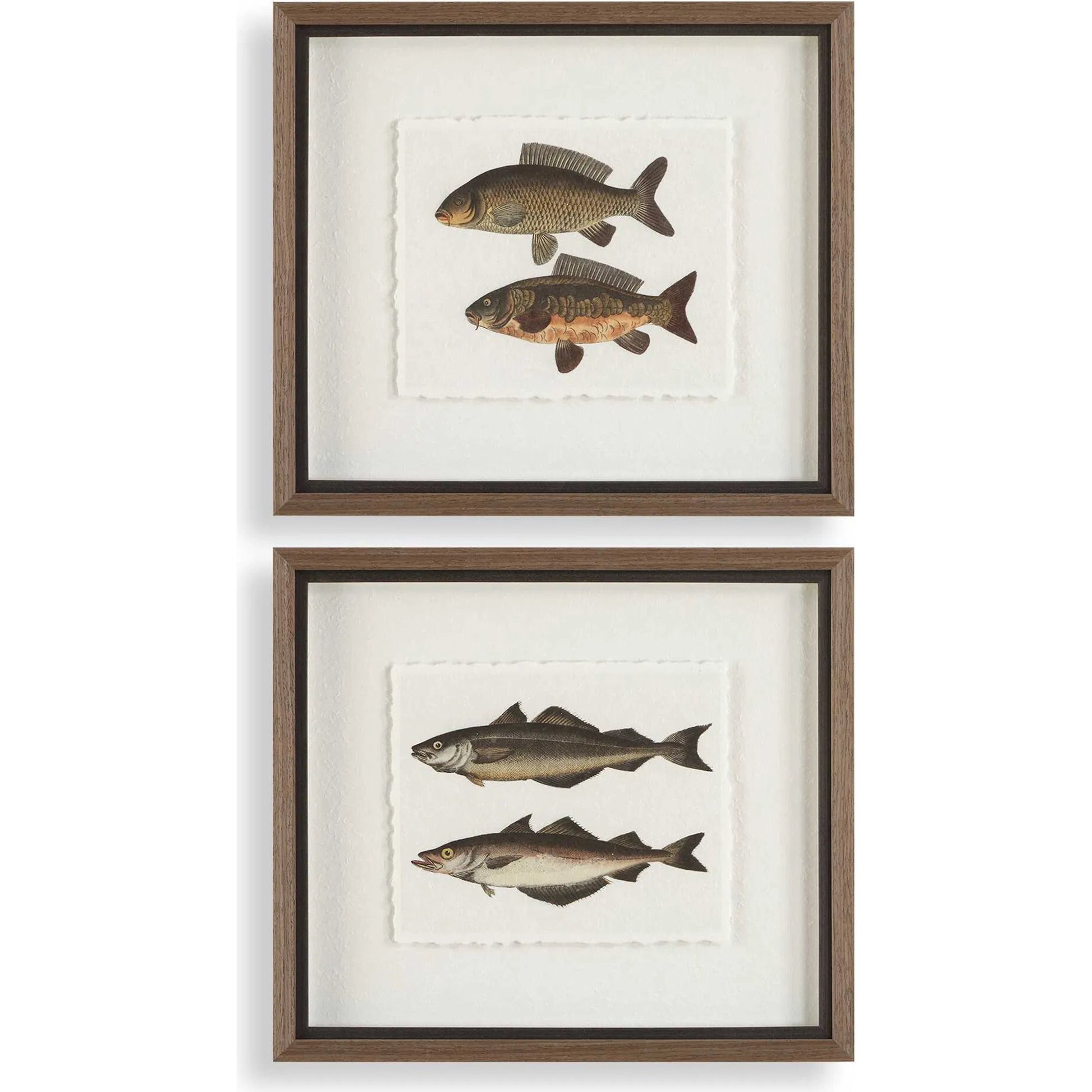 The Catch Framed Fish Prints by Uttermost in rustic gray. Made from plastic, glass, mdf, paper in a coastal style.