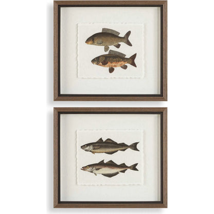 The Catch Framed Fish Prints by Uttermost in rustic gray. Made from plastic, glass, mdf, paper in a coastal style.