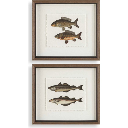 The Catch Framed Fish Prints by Uttermost in rustic gray. Made from plastic, glass, mdf, paper in a unique style.