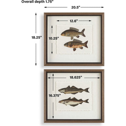 The Catch Framed Fish Prints by Uttermost in rustic gray. Made from plastic, glass, mdf, paper in a coastal style.
