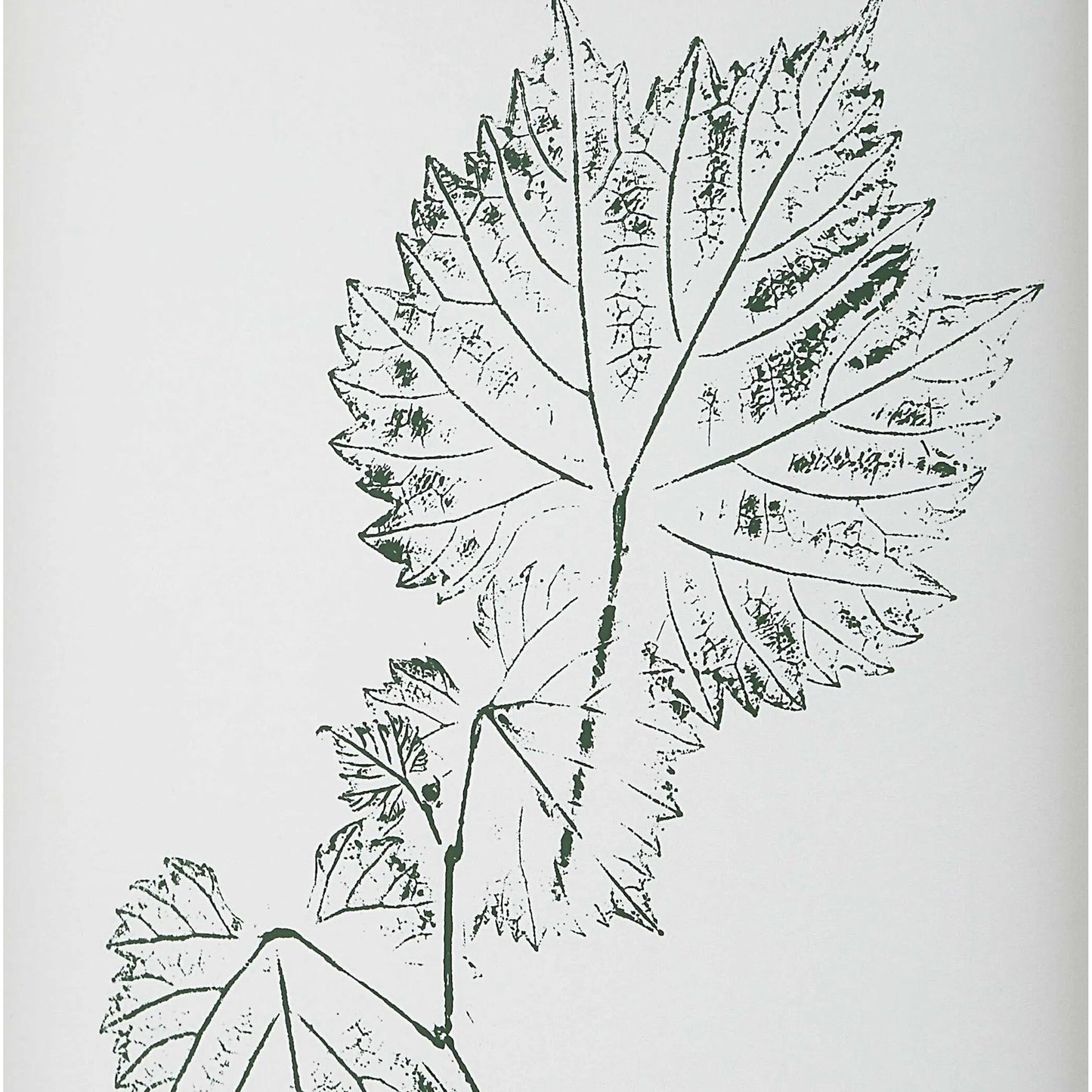 002 SI-2386737 | Closeup | Nature's Script Framed Botanical Prints by Uttermost in gold. Made from plastic, glass, mdf, paper in a cottage & farmhouse style.