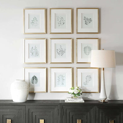 Nature's Script Framed Botanical Prints by Uttermost in gold. Made from plastic, glass, mdf, paper in a cottage & farmhouse style.