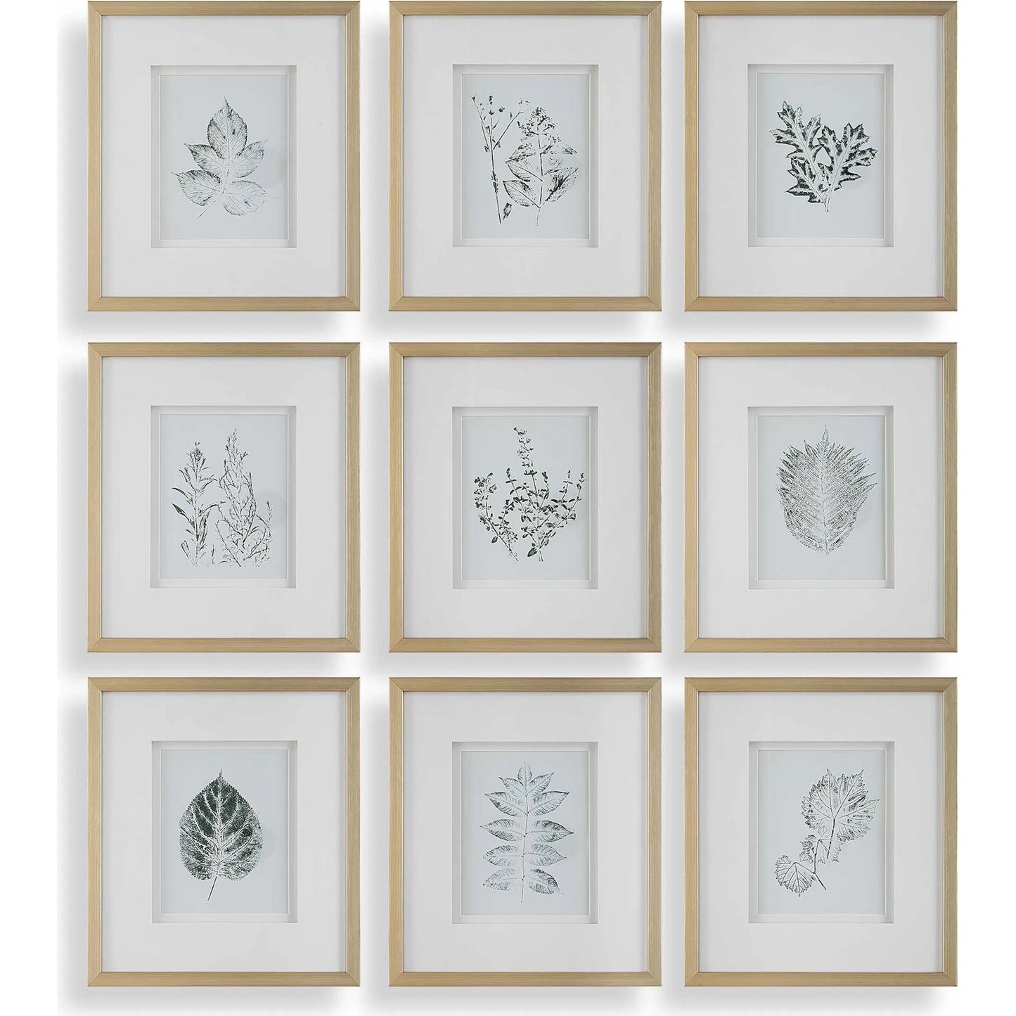 000 SI-2386737 | Primary Silo | Nature's Script Framed Botanical Prints by Uttermost in gold. Made from plastic, glass, mdf, paper in a cottage & farmhouse style.