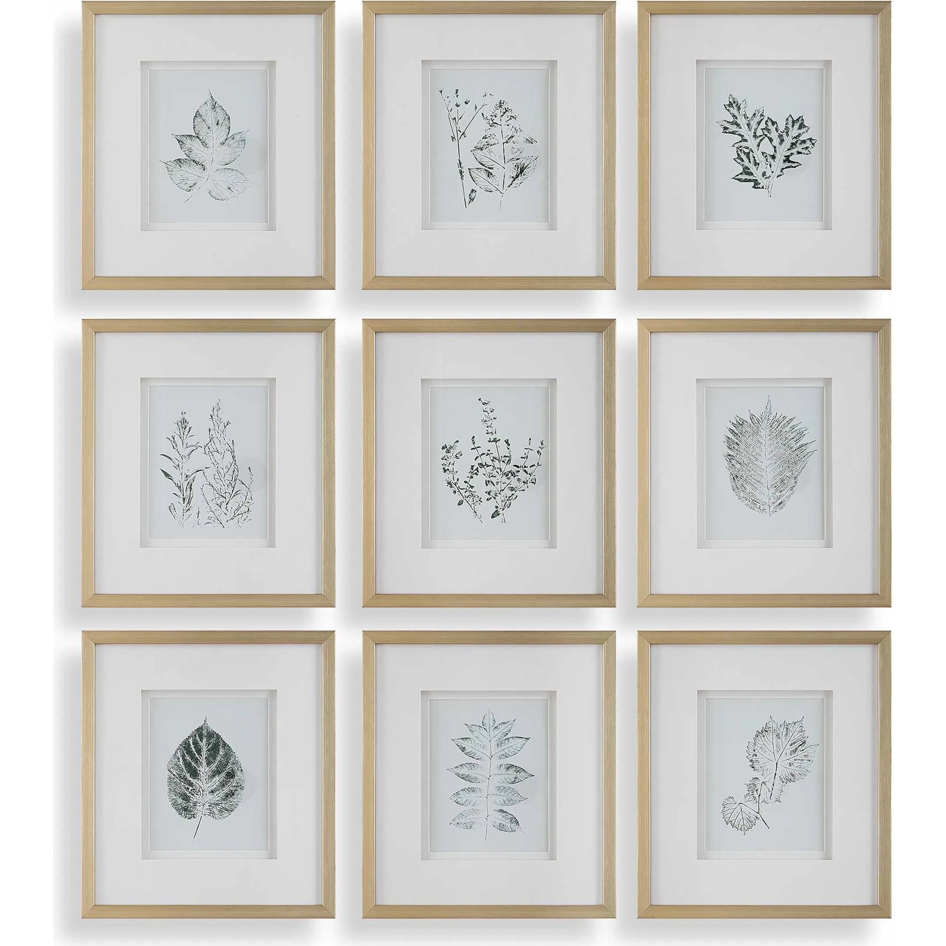Nature's Script Framed Botanical Prints by Uttermost in gold. Made from plastic, glass, mdf, paper in a cottage & farmhouse style.
