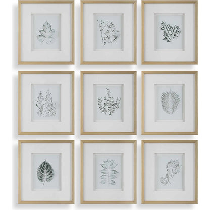 Nature's Script Framed Botanical Prints by Uttermost in gold. Made from plastic, glass, mdf, paper in a cottage & farmhouse style.