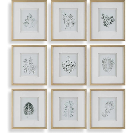 Nature's Script Framed Botanical Prints by Uttermost in gold. Made from plastic, glass, mdf, paper in a unique style.