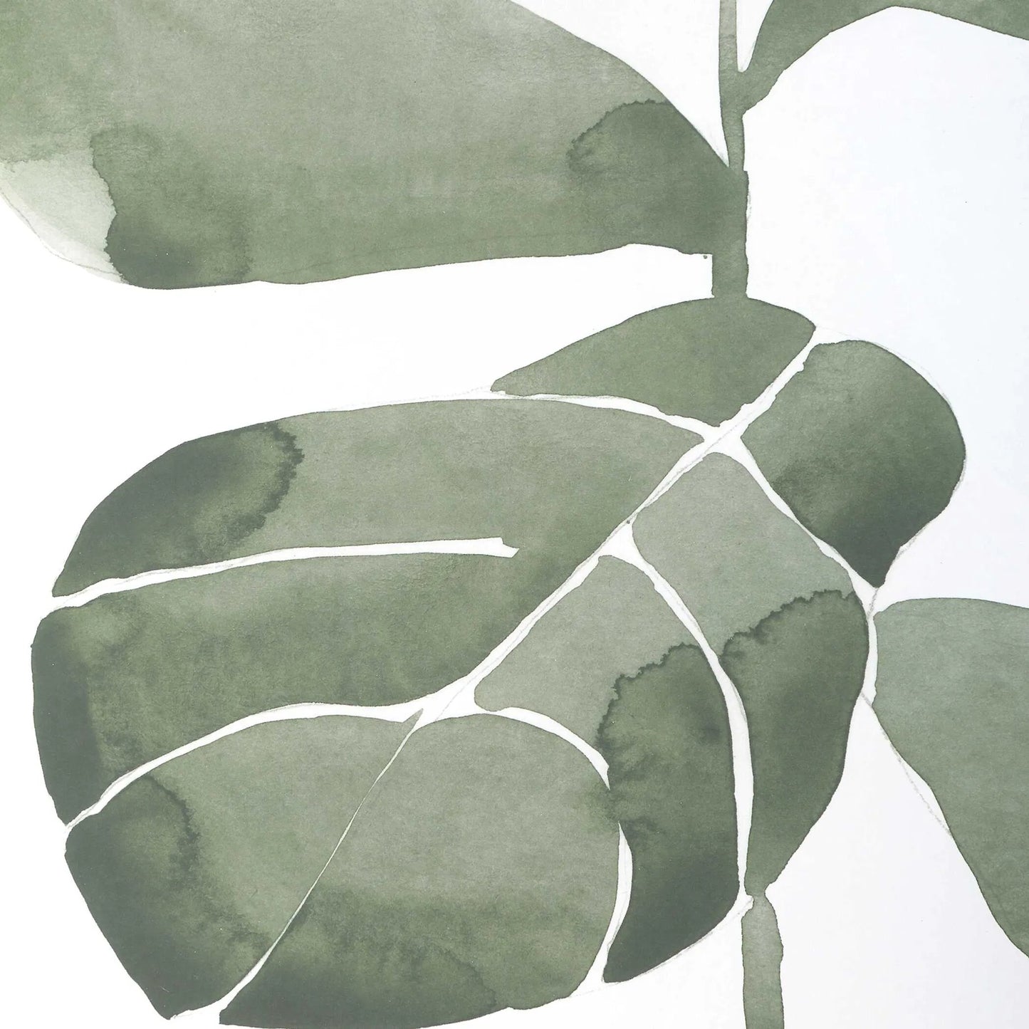 002 SI-2386742 | Closeup | Fiddle Head Leaf Botanical Prints by Uttermost in gold. Made from plastic, mdf, glass, paper in a transitional style.