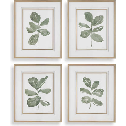 Fiddle Head Leaf Botanical Prints by Uttermost in gold. Made from plastic, mdf, glass, paper in a transitional style.