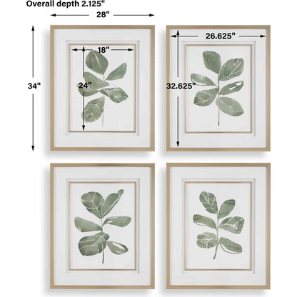 Fiddle Head Leaf Botanical Prints by Uttermost in gold. Made from plastic, mdf, glass, paper in a transitional style.
