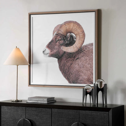 Big Horn Sheep Framed Print by Uttermost. Made from plastic, mdf, paper, linen in a unique style.