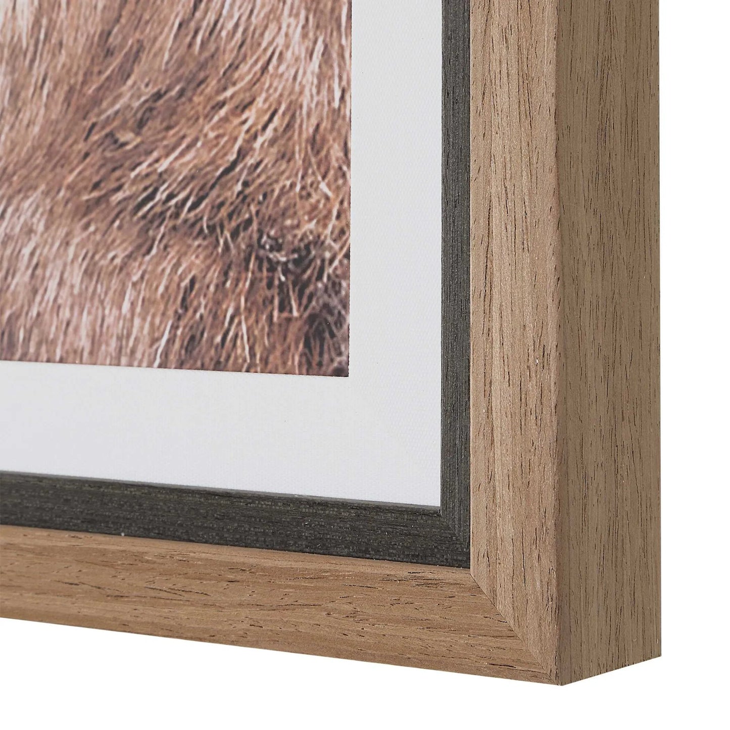 005 SI-2630664 | Unknown | Big Horn Sheep Framed Print by Uttermost. Made from plastic, mdf, paper, linen in a unique style.