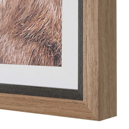Big Horn Sheep Framed Print by Uttermost. Made from plastic, mdf, paper, linen in a unique style.