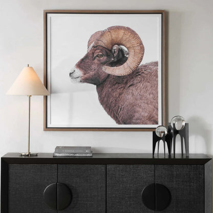 Big Horn Sheep Framed Print by Uttermost. Made from plastic, mdf, paper, linen in a unique style.
