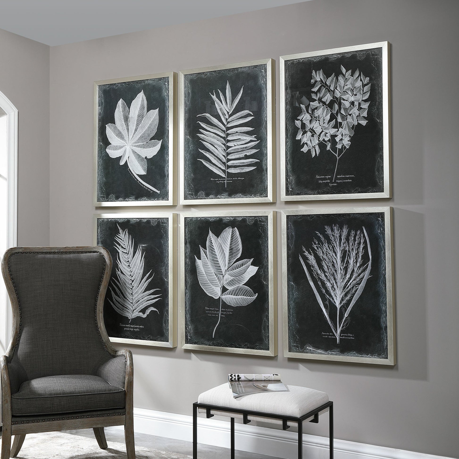 Foliage Framed Prints (Set of 6) by Uttermost in multi. Made from plastic, glass in a cottage & farmhouse style.