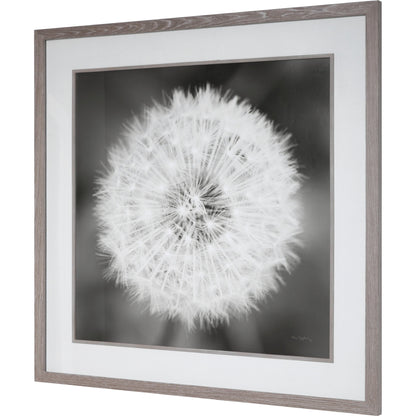 Dandelion Seedhead Framed Print by Uttermost in multi. Made from pinewood, veneer, glass, mdf in a modern style.