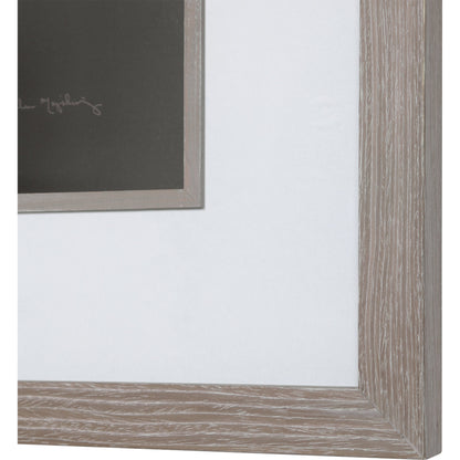 Dandelion Seedhead Framed Print by Uttermost in multi. Made from pinewood, veneer, glass, mdf in a modern style.