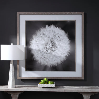 Dandelion Seedhead Framed Print by Uttermost in multi. Made from pinewood, veneer, glass, mdf in a modern style.