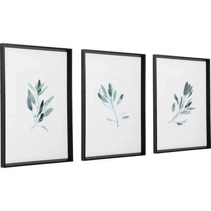 Simple Sage Watercolor Prints by Uttermost in multi. Made from plastic, glass, paper in a transitional style.