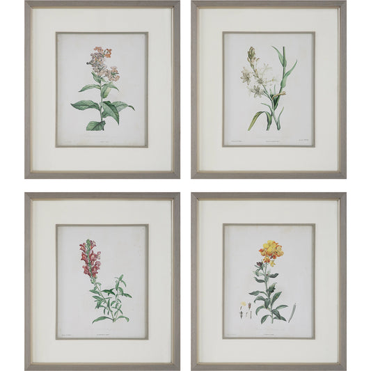 Heirloom Blooms Study Framed Prints by Uttermost in multi. Made from glass, mdf, paper, linen, veneer in a modern style.