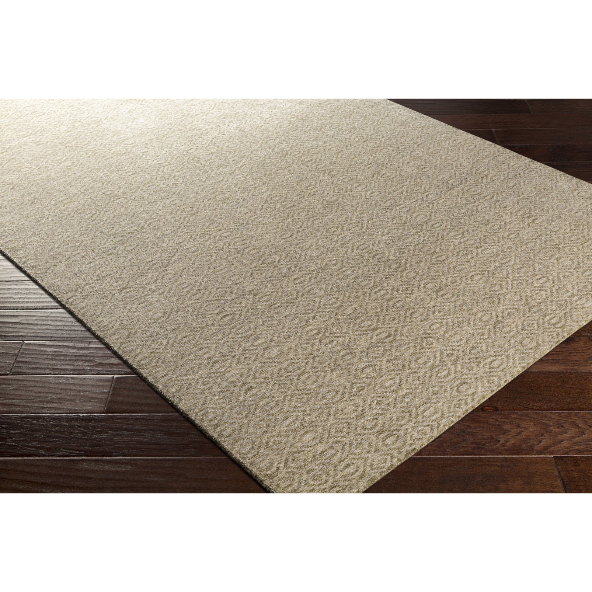 Astara ASA-1000 Rug by Surya in medium gray, light sage. Made from 100% wool in a unique style.
