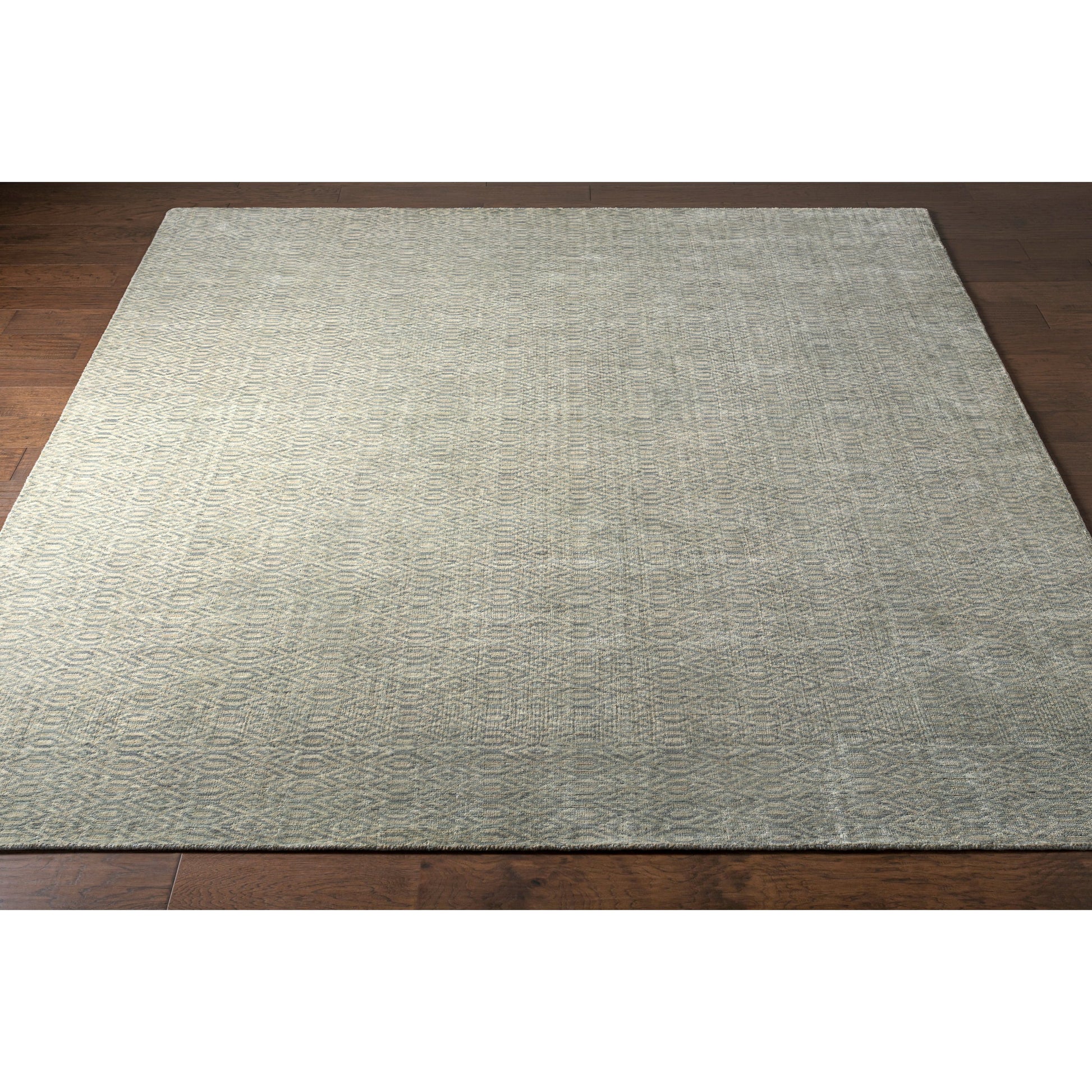 Astara ASA-1000 Rug by Surya in medium gray, light sage. Made from 100% wool in a unique style.
