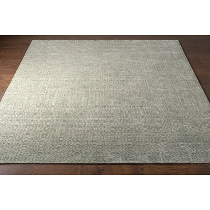 Astara ASA-1000 Rug by Surya in medium gray, light sage. Made from 100% wool in a unique style.
